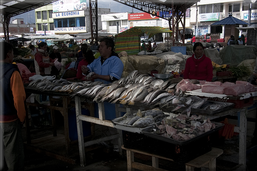 foto Ecuador